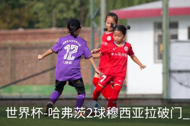 世界杯-哈弗茨2球穆西亚拉破门 德国全面开花7-1库拉索