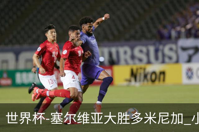 世界杯-塞尔维亚大胜多米尼加 小组第二进八强