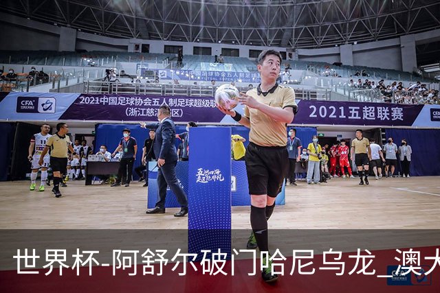 世界杯-阿舒尔破门哈尼乌龙 澳大利亚1-1埃及进加时