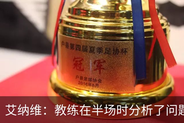 艾纳维：教练在半场时分析了问题 会仔细观察法国和巴拉圭的表现